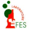 Logo Laboratoire Fès
