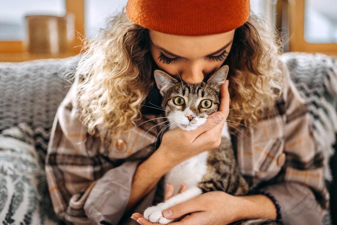 Caresser souvent un chat : voici ce que cela dirait de votre personnalité selon une étude scientifique