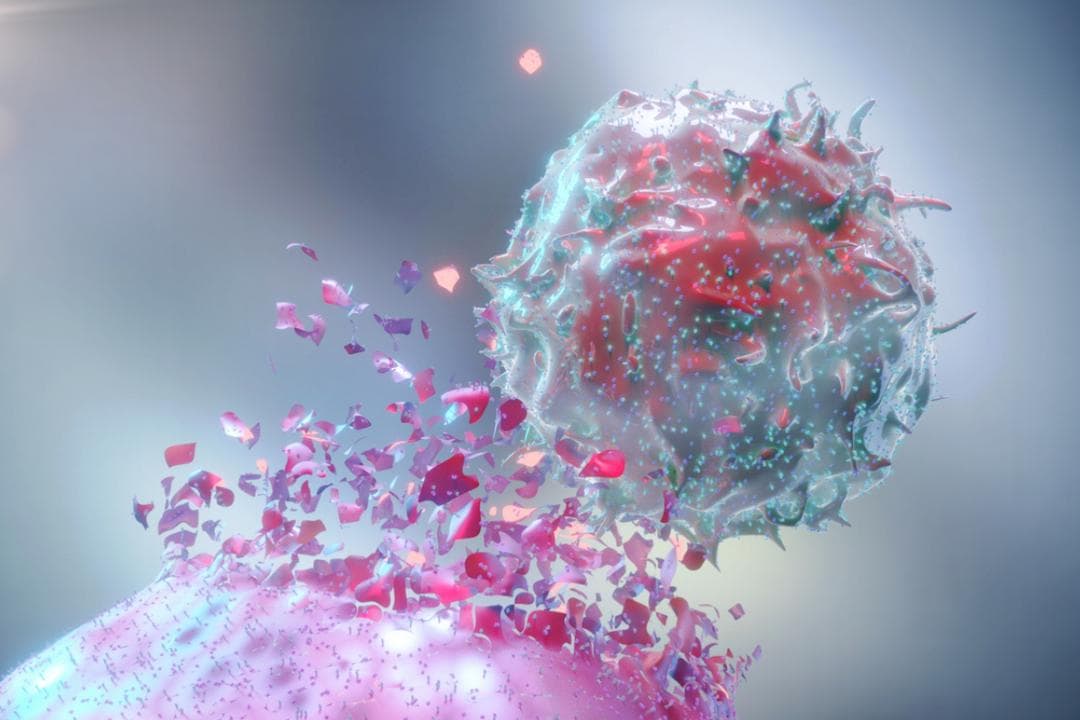 Cancer : ce nanomatériau détruit les tumeurs de l’intérieur sans abîmer les cellules saines