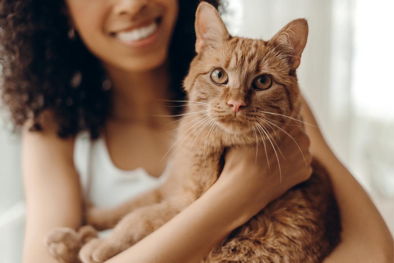 Chats et schizophrénie : ce lien surprenant que les scientifiques tentent d’expliquer