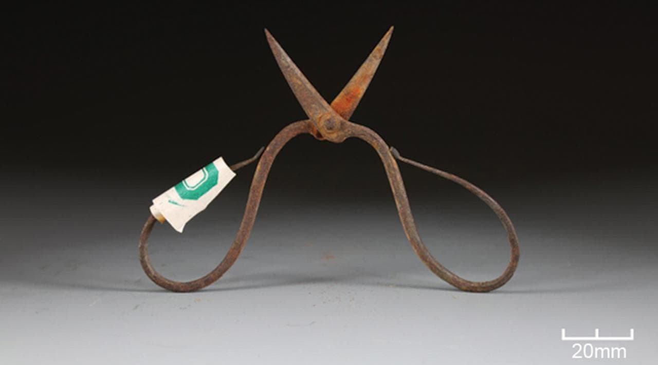 Ce poison retrouvé sur des outils Ming pourrait réécrire l’histoire de l'anesthésie