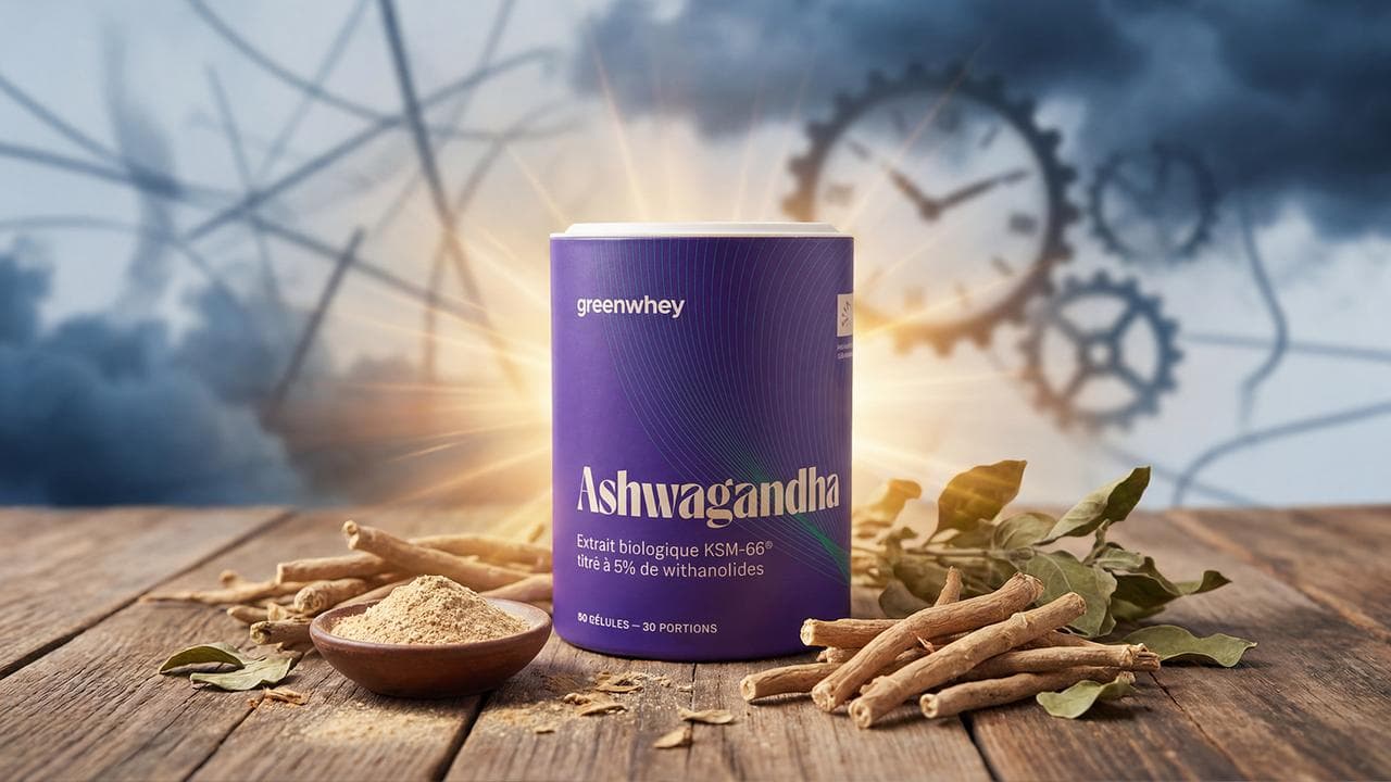 Stress chronique : pourquoi l’ashwagandha séduit de plus en plus de Français