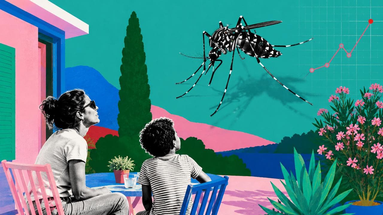 Chikungunya, dengue, Zika : pourquoi les autorités redoutent particulièrement 2026