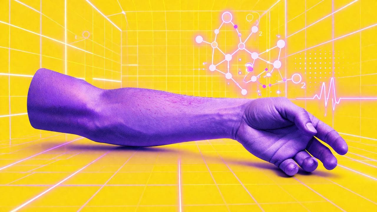 Ils ont trouvé pourquoi les humains ne régénèrent pas leurs membres… et la réponse surprend