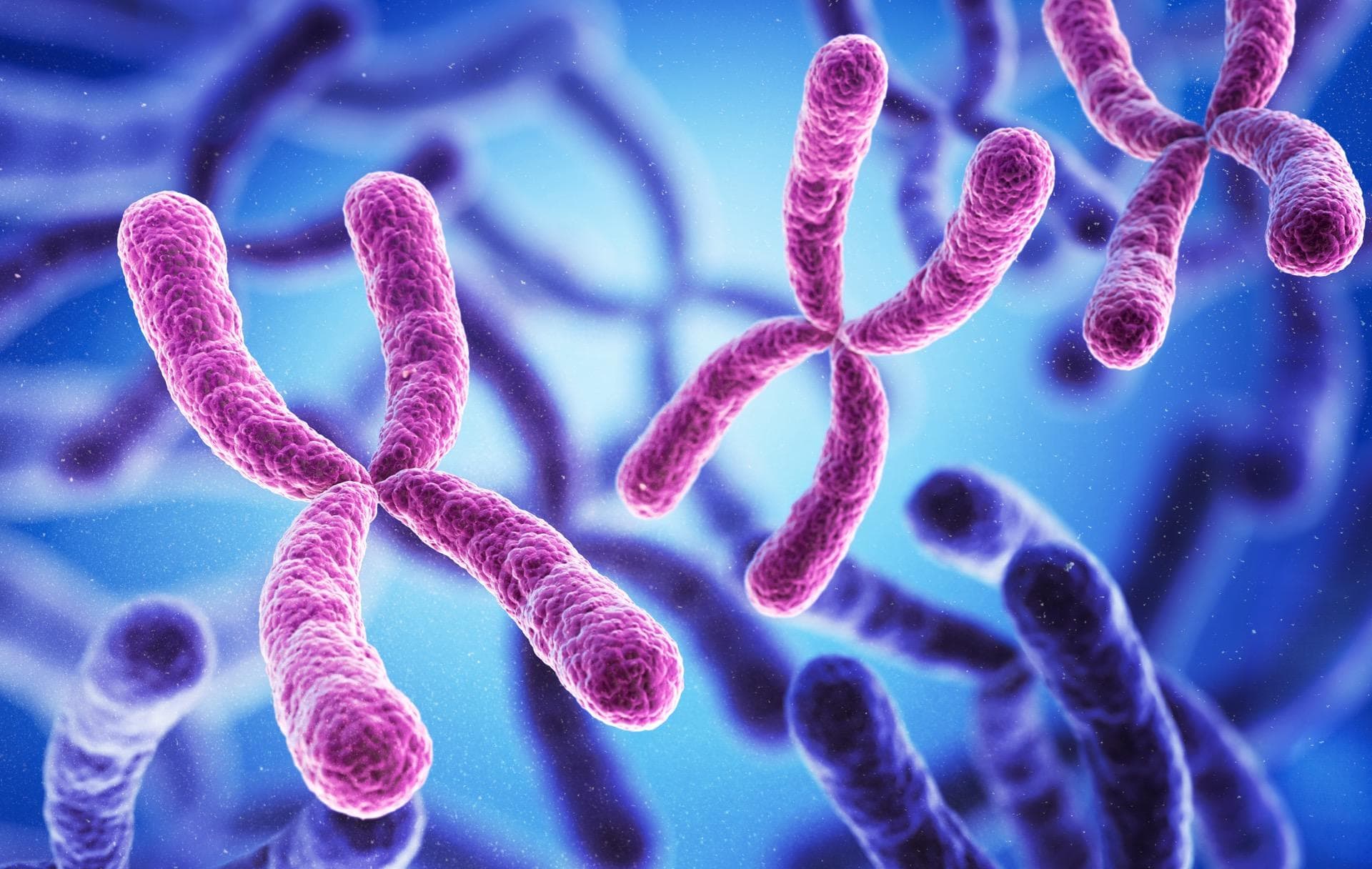 Autisme : et si les filles étaient « protégées » par leur chromosome X ? Une étude relance le débat