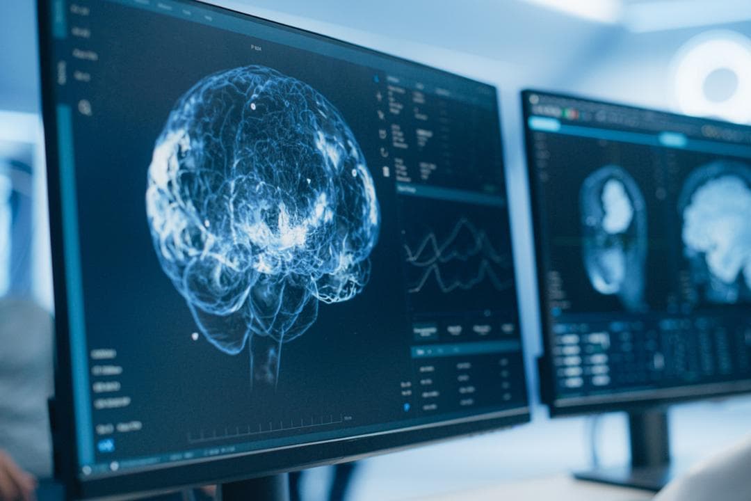 Le cerveau ne se construit pas comme on le pensait : cette force invisible change tout
