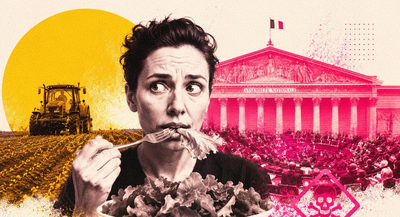 Un vote historique à l'Assemblée sur le cadmium, mais la bataille est loin d'être gagnée