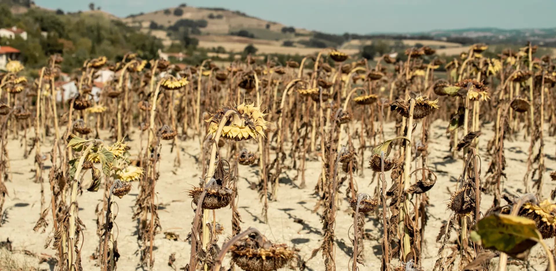 « Si on veut bien s’y mettre enfin ! » : l’appel à agir avant que l’agriculture française ne bascule